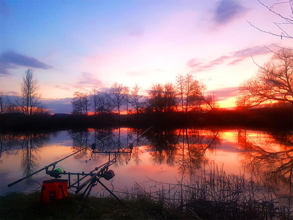 Carp Fishing Paradise Angelsee