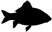 Fischbesatz